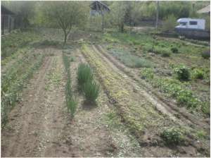 Vand teren 800mp construibil