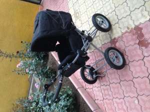 Carucior 2 in 1