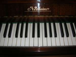 Pianina Nocturno Oferta