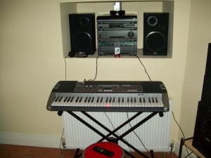CASIO LK215(keylights)