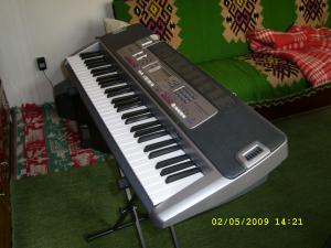 CASIO LK215(keylights)