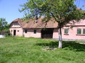 Vand casa tara