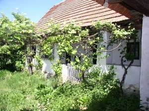 Vand casa tara