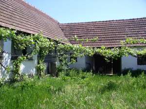 Vand casa tara