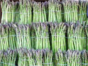 VAND SEMINTE DE SPARANGHEL (asparagus)