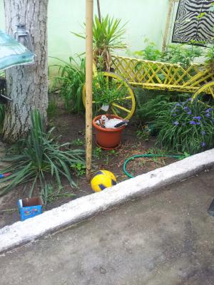 Vand casa cu gradina  in Lovrin,       Timis