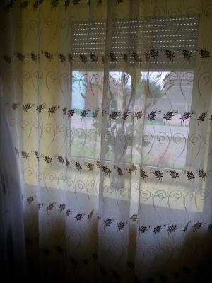 Vand casa cu gradina  in Lovrin,       Timis