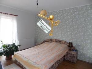 Se vinde o casa in zona Tineretului
