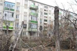 toaletari,  fasonari,  debarasari arbori