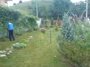 Servicii de tuns iarba Neamt