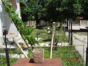 oferim pt locuit casa batraneasca