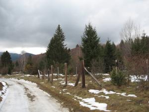 Teren 1300 mp cabana Valea Avrigului