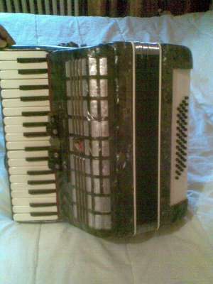 Acordeon Parrot