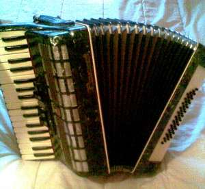 Acordeon Parrot