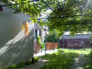 casa in Titu