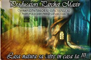 Parchet masiv