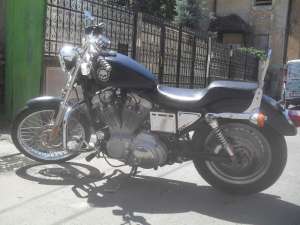 harley davidson