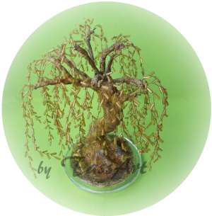 Copaci margele - Beads trees