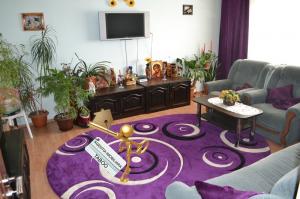 Se vinde un apartament cu 3 camere ,   zona Terezian