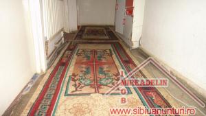 VAND APARTAMENT 3 CAMERE,   CEDONIA
