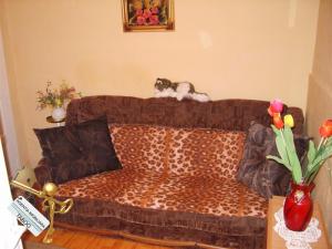 Se vinde un apartament,   2 camre,  zona Terezian