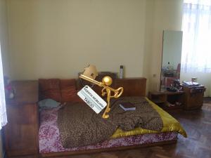 Apartament cu 2 camere ,   zona B-dul Victoriei
