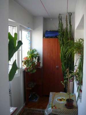Apartament in bloc - decomandat - zona Calarasilor