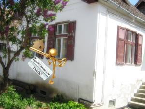Se vinde o casa cu 2 camere ,   Turnisor