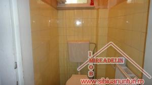 VAND APARTAMENT LA CASA,   2 CAMERE,   ORASUL DE JOS
