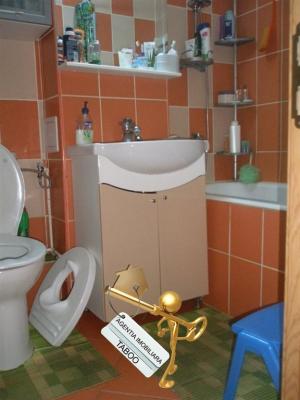 Apartament cu 3 camere ,   de vanzare ,   zona Hipodrom 3