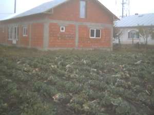 vand casa
