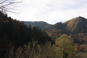 VAND TEREN-VATRA DORNEI