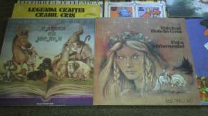 Discuri vinil