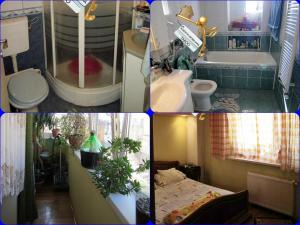 Apartament cu 3 camere ,   d lux,   zona Tererzian