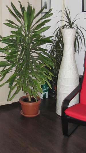 Vand apartament 3 camere mall vitan