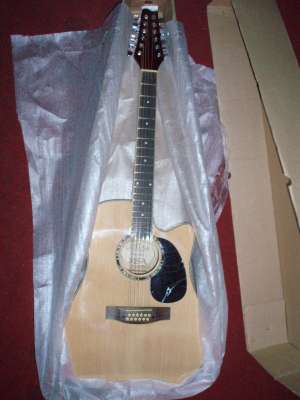Vand chitara electro-acustica double-six