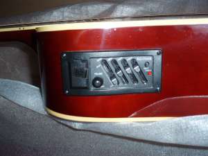Vand chitara electro-acustica double-six