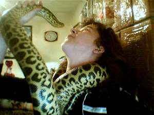 anaconda galbena