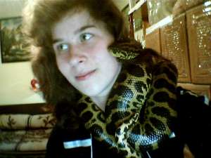 anaconda galbena