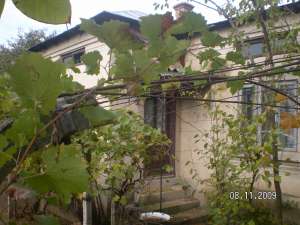 casa jud. Teleorman