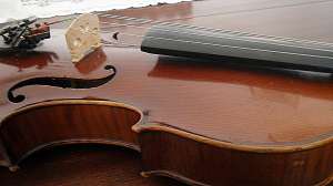 vand vioara viori contrabas tambal instrumente muzicale mandolina viola braci