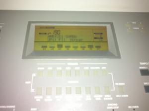 Vand Korg is50