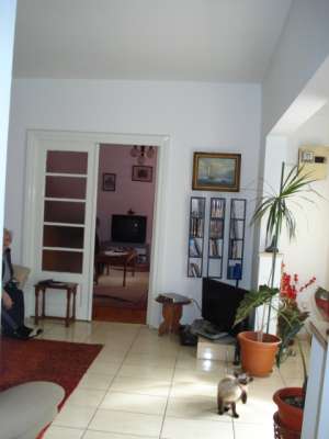 Casa (Pv+P+1+M) - zona  Domenii