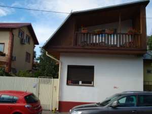 Casa (Pv+P+1+M) - zona  Domenii
