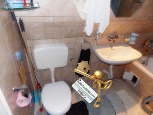 Apartament cu 2 camere de vanzare in Sibiu ultracentral