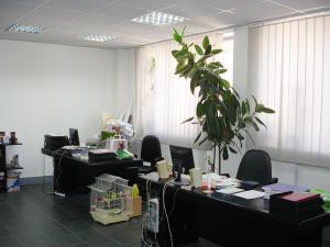 spatii de birouri de inchiriat