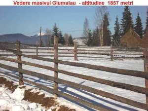 Vand teren Vatra Dornei-Neagra Sarului- Suprafata 1500 -3000- 6500 mp