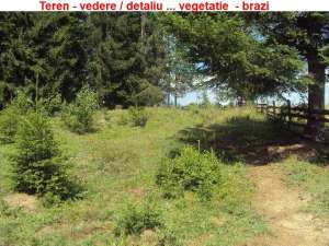 Vand teren Vatra Dornei-Neagra Sarului- Suprafata 1500 -3000- 6500 mp