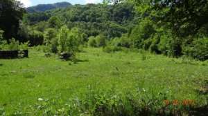 vand teren malaia-valea lotrului
