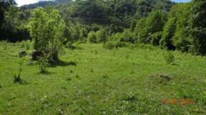 vand teren malaia-valea lotrului